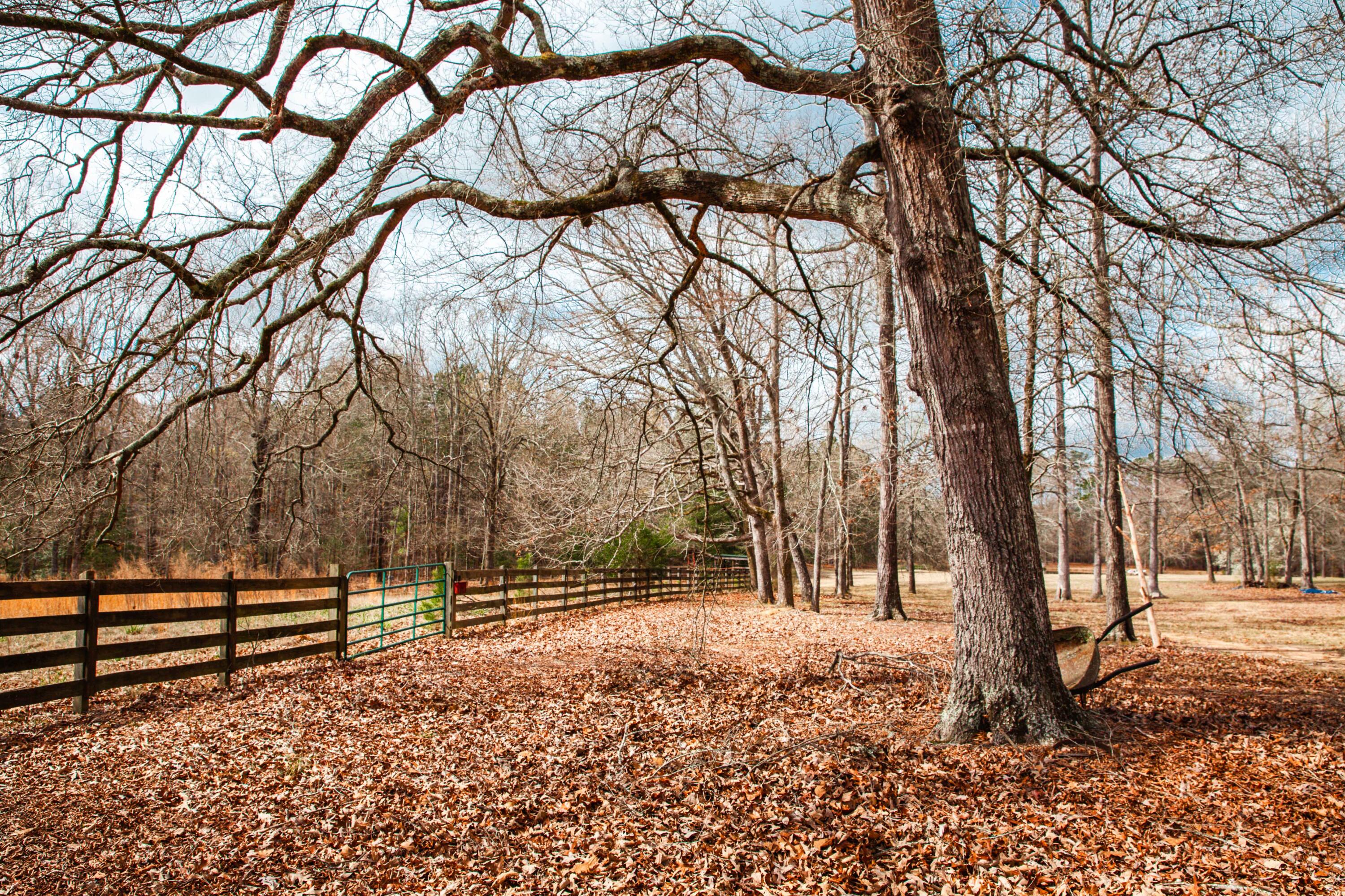 1215 Guillebeau Road