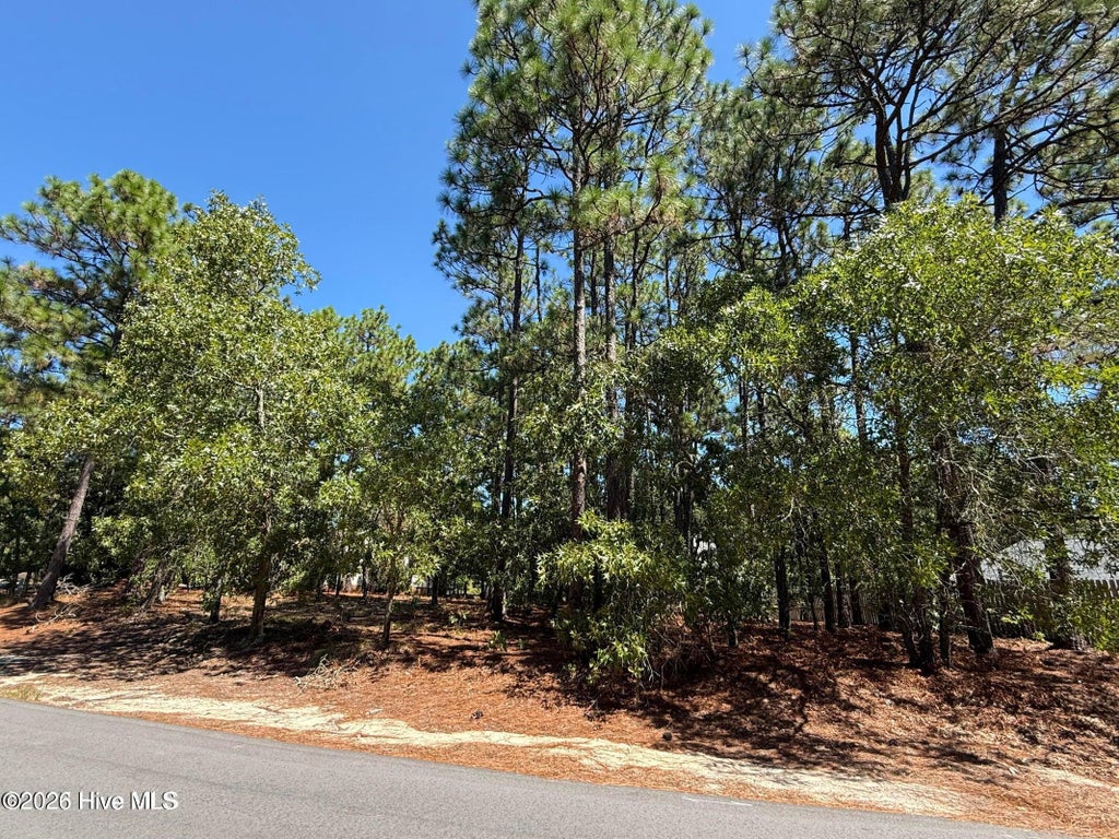Photo of 5 Fur Court W, Pinehurst, NC 28374 (MLS # 100611818)