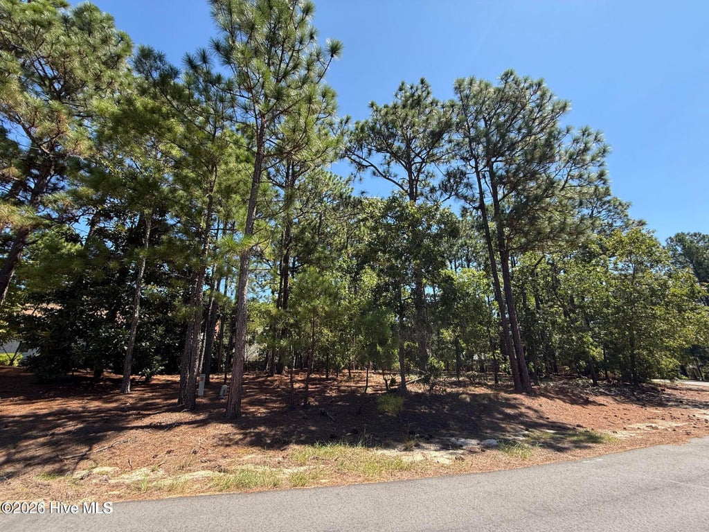 Photo of 5 Fur Court W, Pinehurst, NC 28374 (MLS # 100611818)