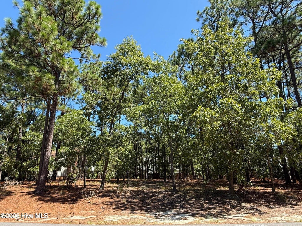 Photo of 5 Fur Court W, Pinehurst, NC 28374 (MLS # 100611818)