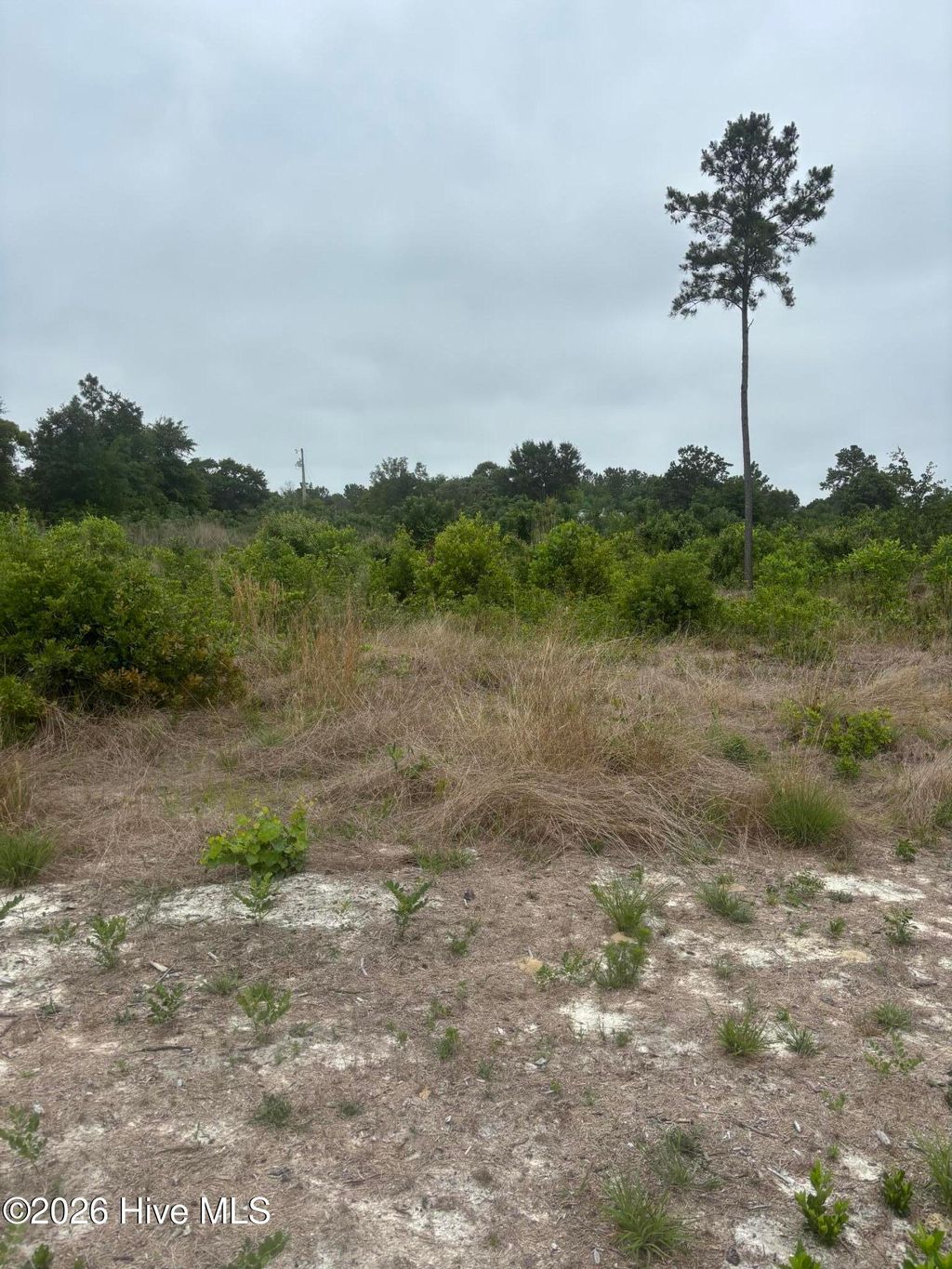 Photo of 22 General Lee Lane, Clinton, NC 28328 (MLS # 100576352)