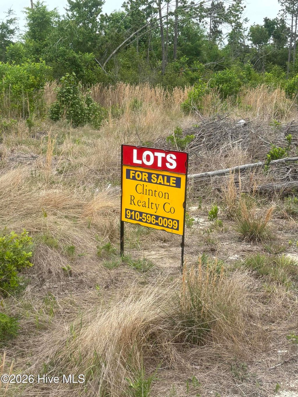 Photo of 22 General Lee Lane, Clinton, NC 28328 (MLS # 100576352)