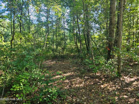 Tiny photo for 4278 Us 117 Highway S, Burgaw, NC 28425 (MLS # 100589535)