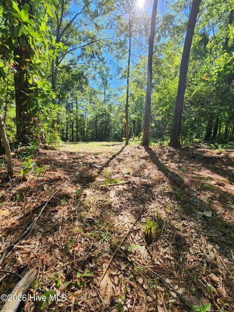 Tiny photo for 4278 Us 117 Highway S, Burgaw, NC 28425 (MLS # 100589535)
