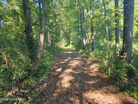 Tiny photo for 4278 Us 117 Highway S, Burgaw, NC 28425 (MLS # 100589535)