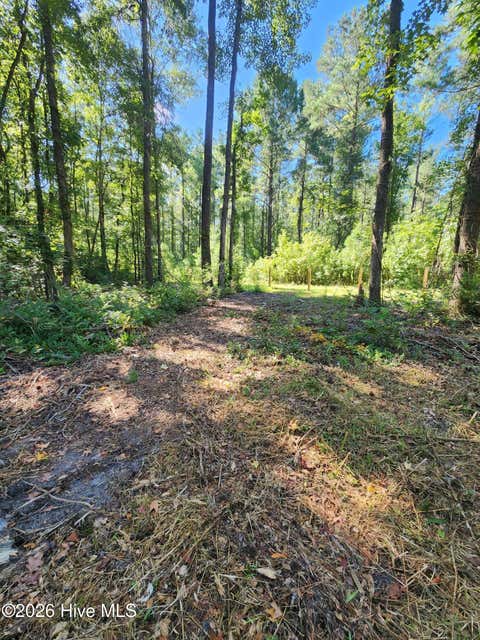 Tiny photo for 4278 Us 117 Highway S, Burgaw, NC 28425 (MLS # 100589535)