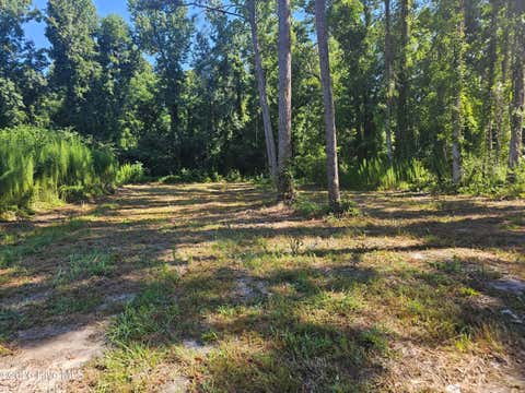 Tiny photo for 4278 Us 117 Highway S, Burgaw, NC 28425 (MLS # 100589535)