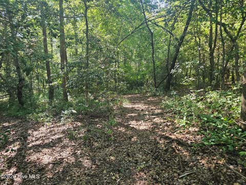 Tiny photo for 4278 Us 117 Highway S, Burgaw, NC 28425 (MLS # 100589535)