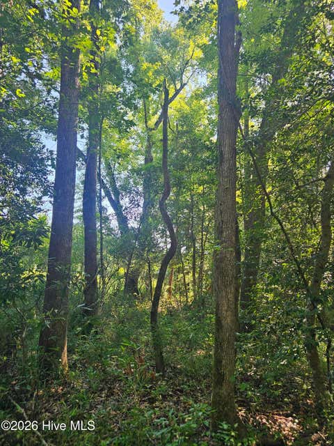 Tiny photo for 4278 Us 117 Highway S, Burgaw, NC 28425 (MLS # 100589535)