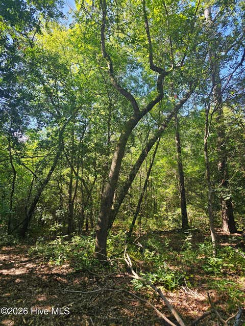 Tiny photo for 4278 Us 117 Highway S, Burgaw, NC 28425 (MLS # 100589535)