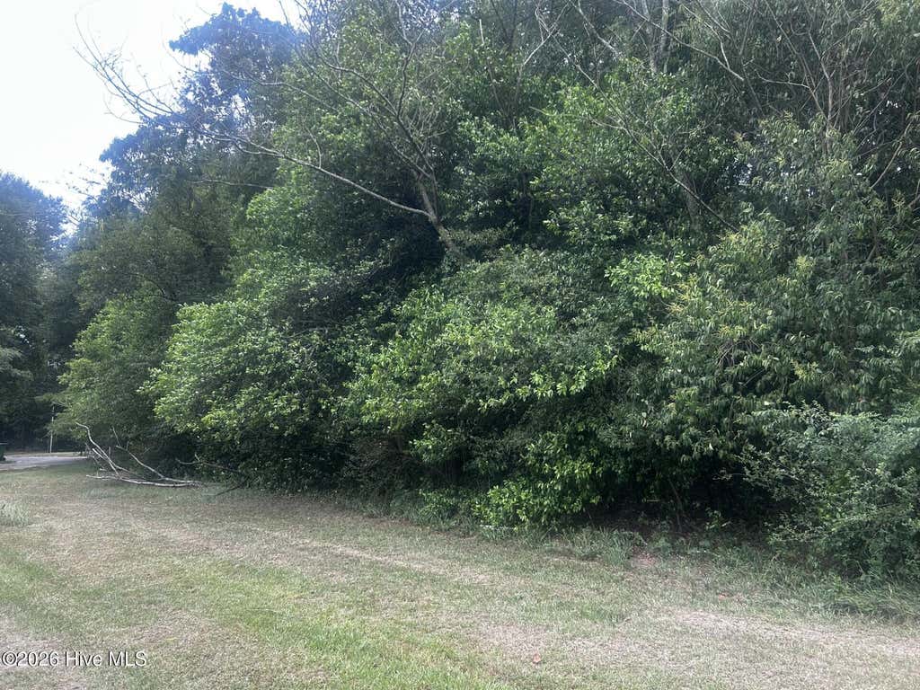 Photo of 3 S 22nd Avenue, Dillon, SC 29536 (MLS # 100592297)