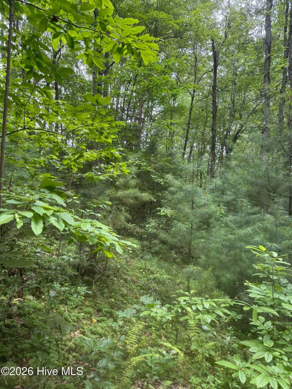 Photo of 1213 Camp Creek Estates Drive, Murphy, NC 28906 (MLS # 100595374)