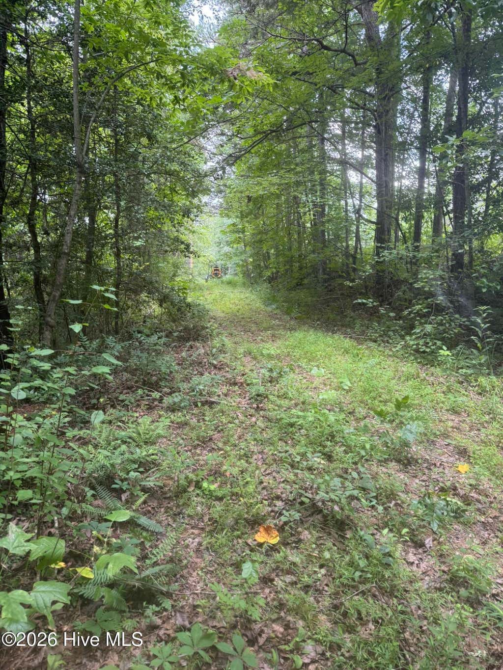 Photo of 1213 Camp Creek Estates Drive, Murphy, NC 28906 (MLS # 100595374)
