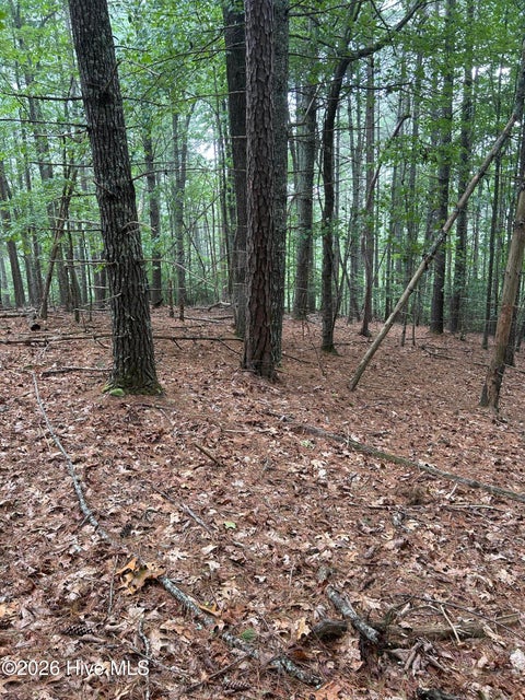 Vacant Land For Sale - 367 Chastain Road<br/> Murphy, NC 28906