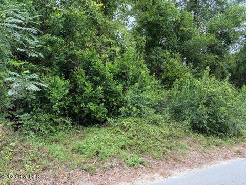 Vacant Land For Sale - 00 Cherry Street<br/> Aiken County, Beech Island, SC 29842