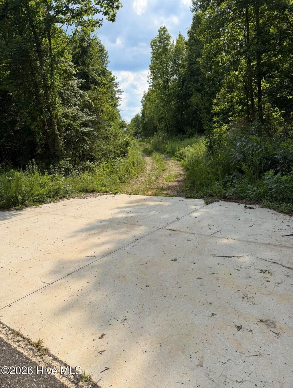 Photo of 3 Beamon Hunt Road, Warrenton, NC 27589 (MLS # 100584772)