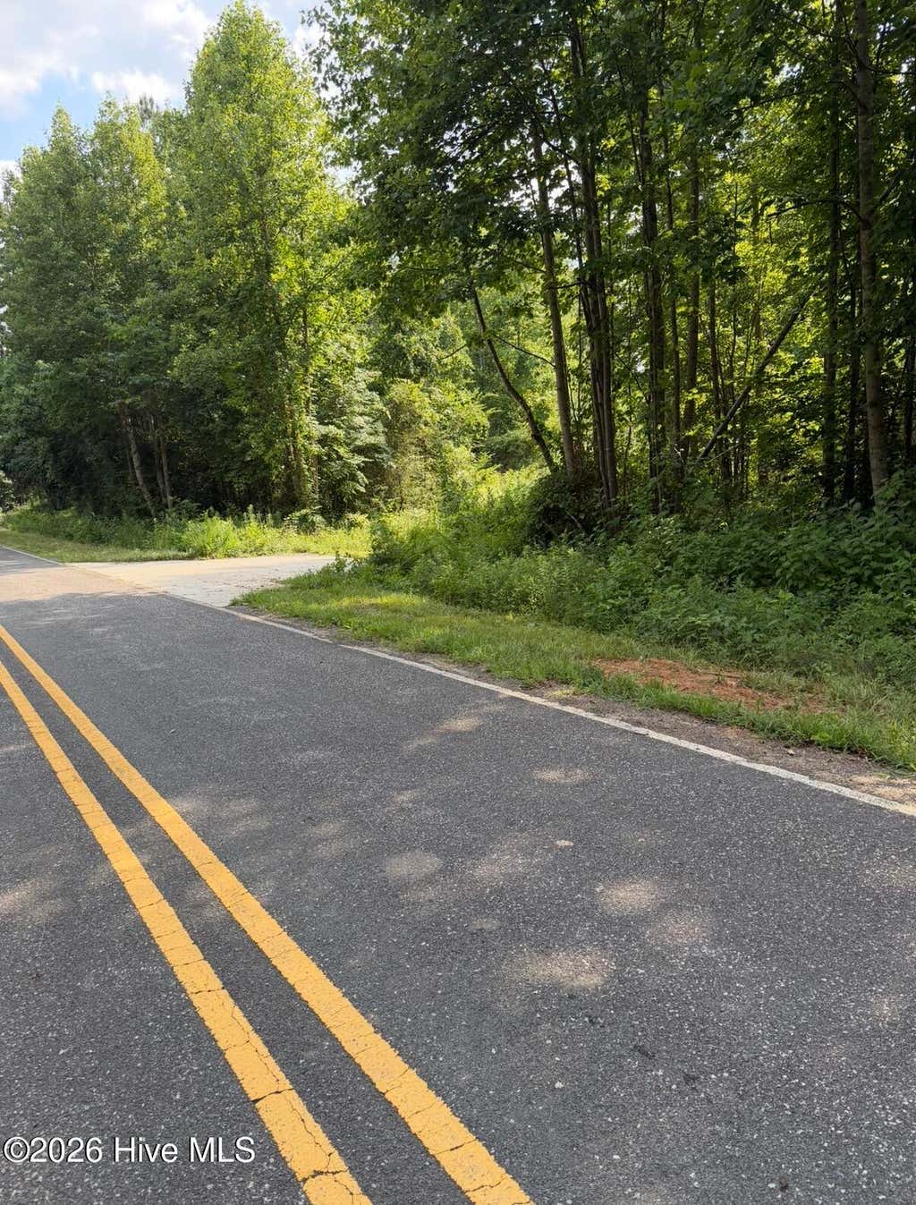 Photo of 3 Beamon Hunt Road, Warrenton, NC 27589 (MLS # 100584772)