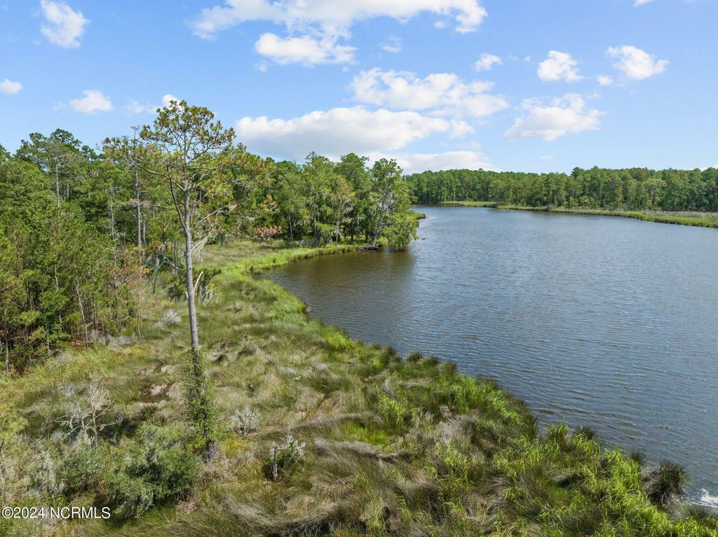 Photo of 19 Bailey Pointe Drive, Belhaven, NC 27810 (MLS # 100456415)