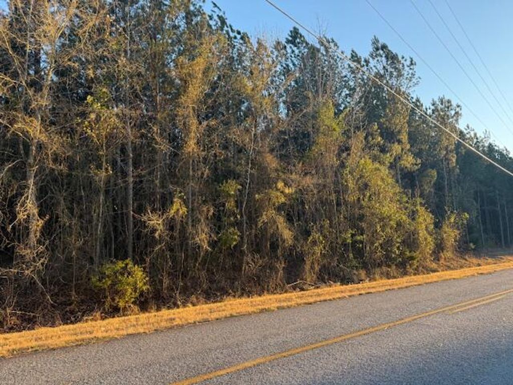 Photo of 1398 Mauldin Road, Warrenton, GA 30828 (MLS # 552436)