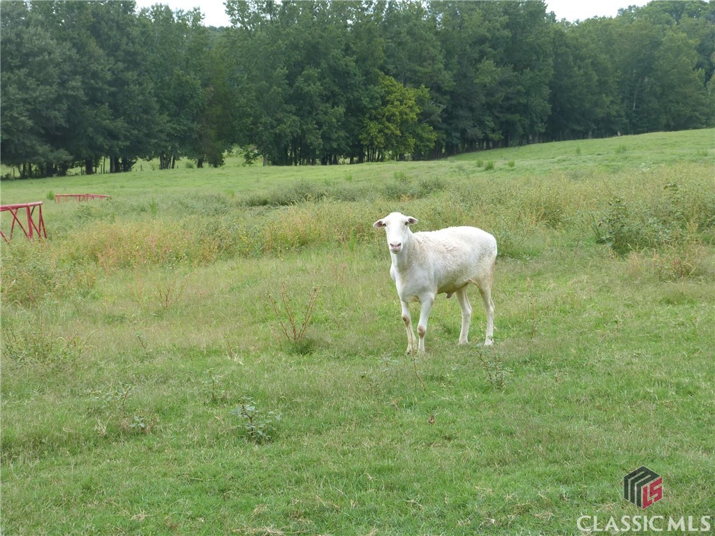 1650 Locklin Cemetery Road