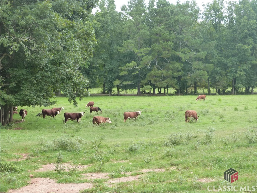 1650 Locklin Cemetery Road