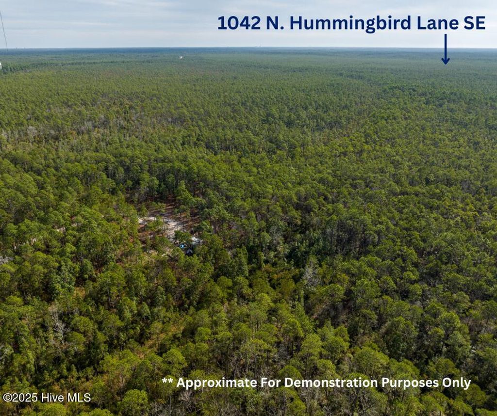 Photo of 1042 N Hummingbird Lane SE, Southport, NC 28461 (MLS # 100535199)