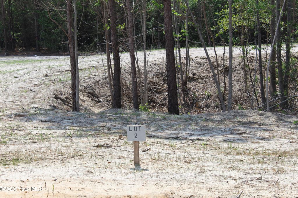 Photo of 934 Blind Bridge Road, Magnolia, NC 28453 (MLS # 100569704)