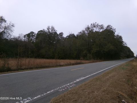 Vacant Land For Sale - LOT 2 Ivanhoe Road<br/> Sampson County, Ivanhoe, NC 28447
