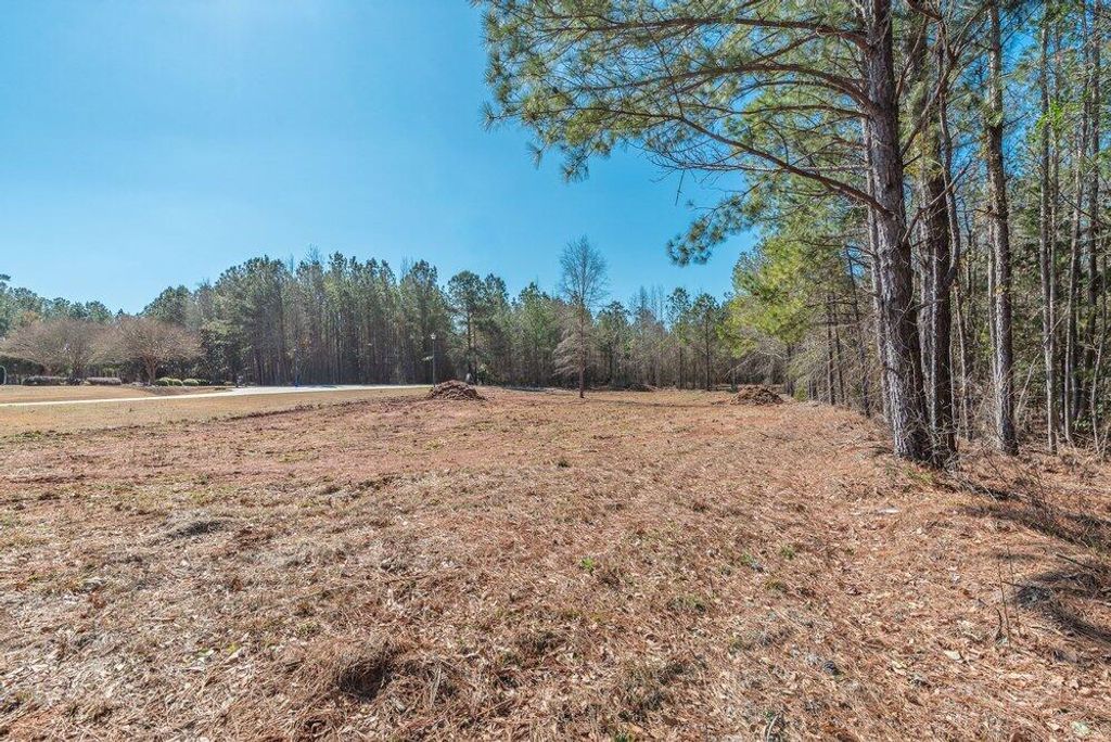 Photo of 1421 Dunwoody Place, Appling, GA 30802 (MLS # 553278)