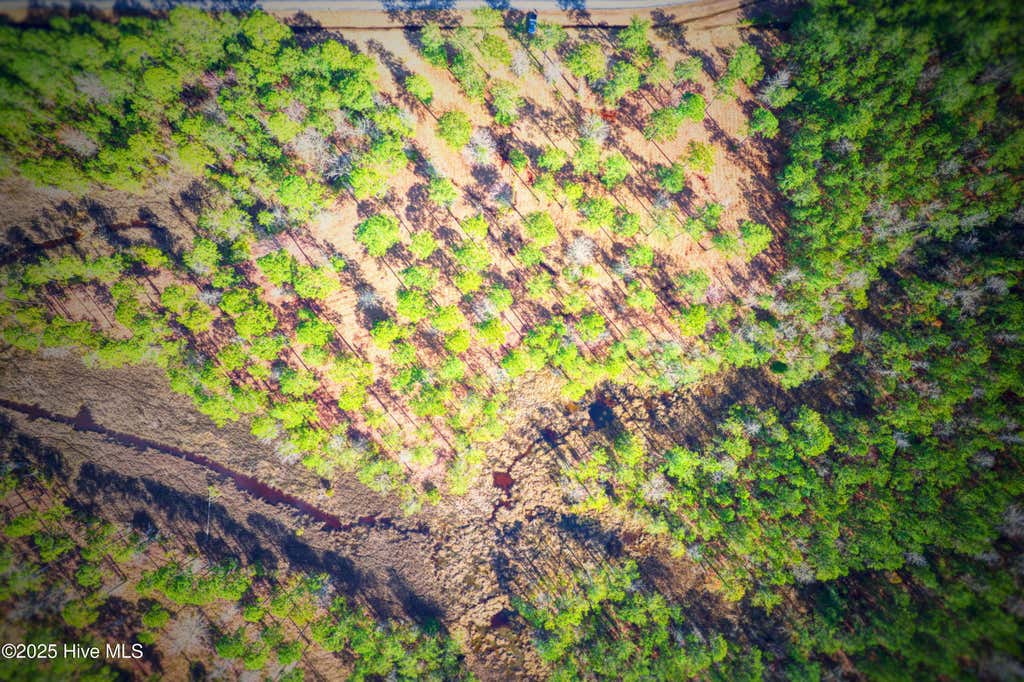 Photo of 203 Paradox Point Drive, Aurora, NC 27806 (MLS # 100594328)