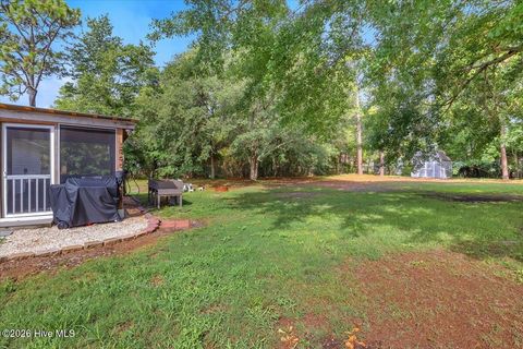 Tiny photo for 428 Horn Road, Wilmington, NC 28412 (MLS # 100589715)