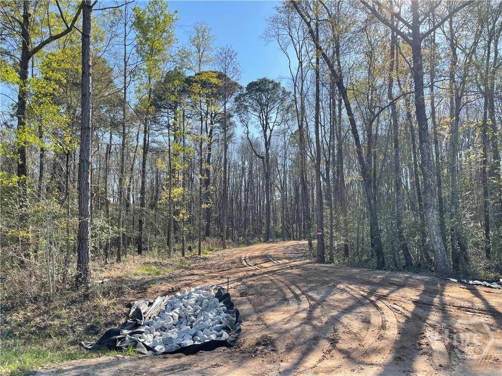 Photo of 0 Savannah Town Road, Springfield, GA 31329 (MLS # SA351772)