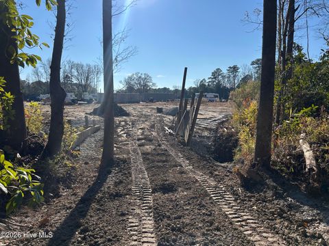 Tiny photo for 13 Rockhill Road, Castle Hayne, NC 28429 (MLS # 100546694)