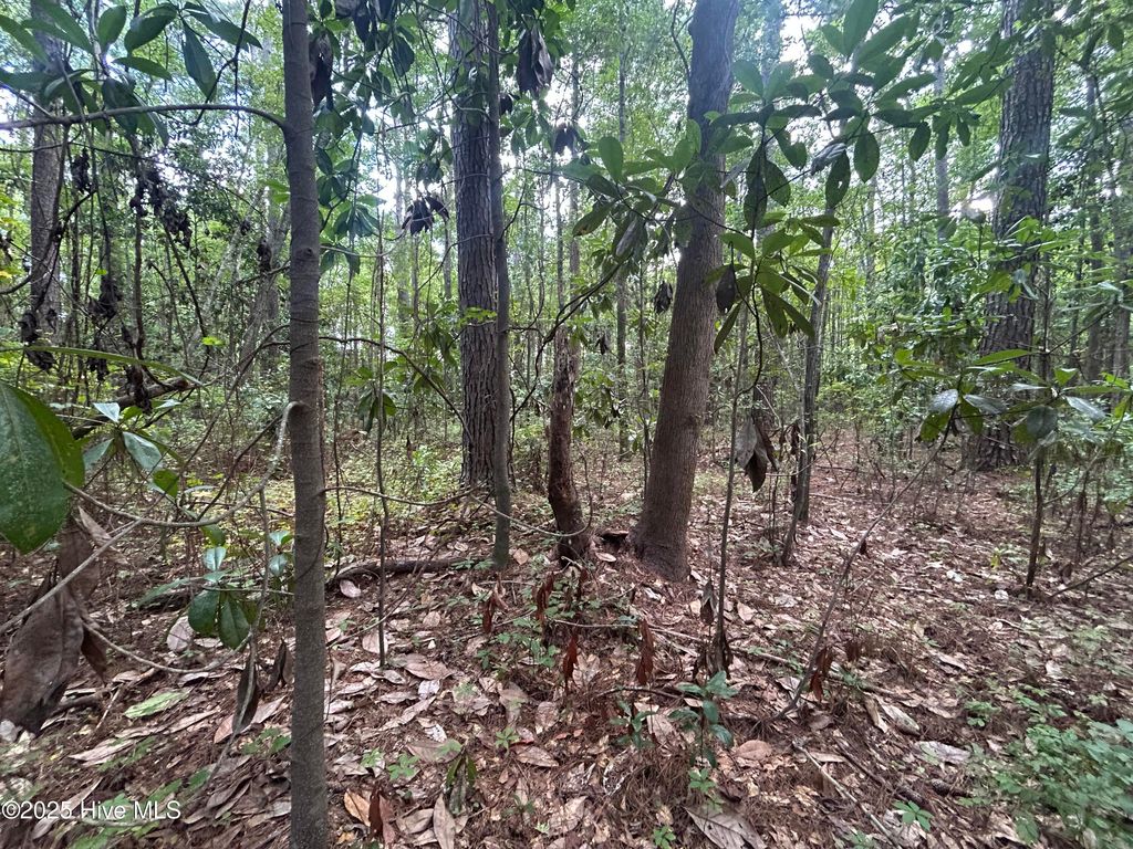 Photo of 13 Rockhill Road, Castle Hayne, NC 28429 (MLS # 100546694)