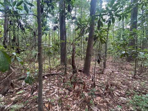 Tiny photo for 13 Rockhill Road, Castle Hayne, NC 28429 (MLS # 100546694)