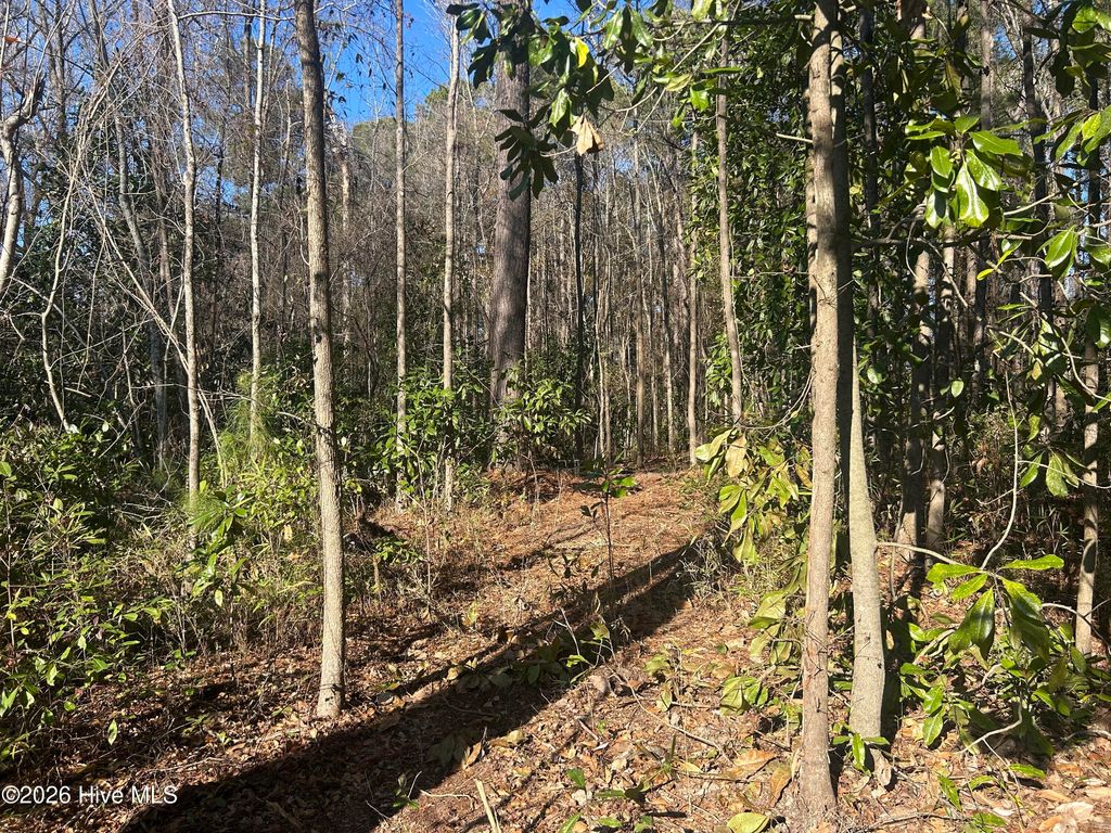 Photo of 13 Rockhill Road, Castle Hayne, NC 28429 (MLS # 100546694)