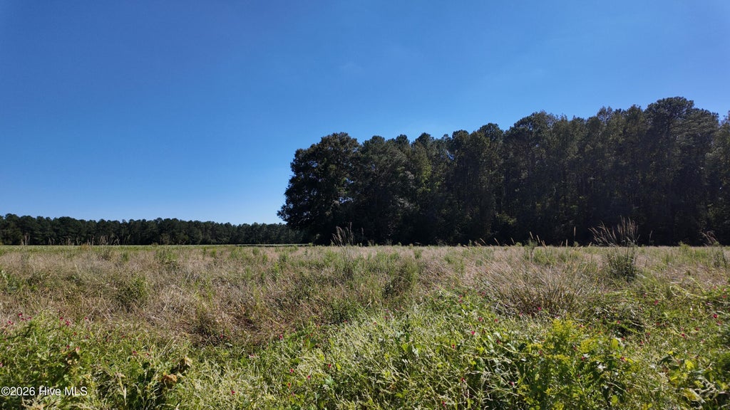 Photo of 2 Rivenbark Road, Wallace, NC 28466 (MLS # 100608310)