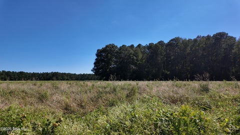 Vacant Land For Sale - 2 Rivenbark Road<br/> Wallace, NC 28466
