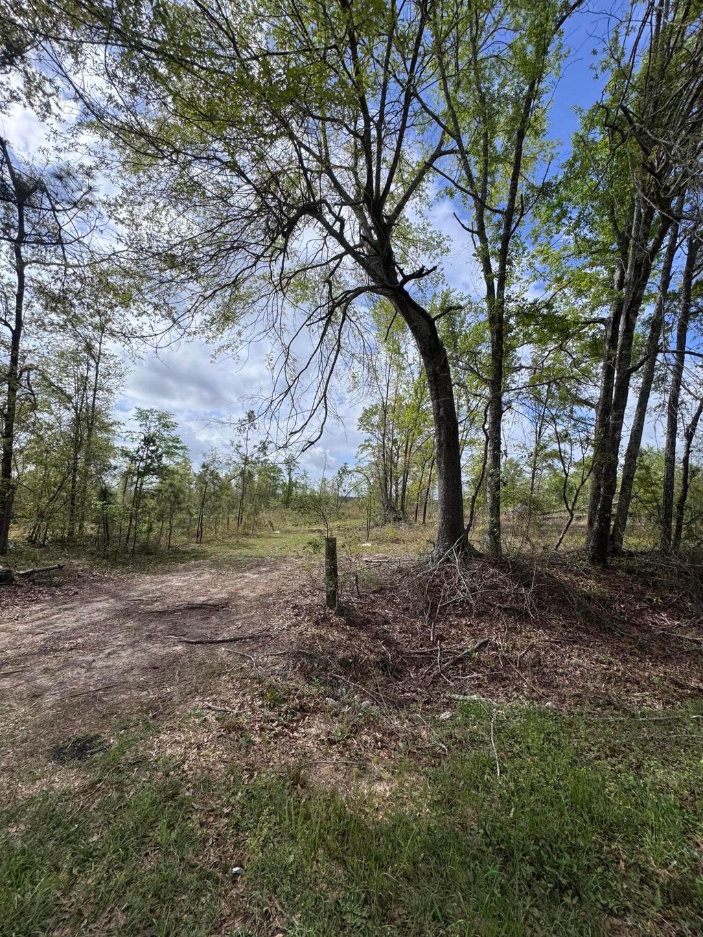 Photo of 1508 Hephzibah - Mcbean Road, Hephzibah, GA 30815 (MLS # 554270)