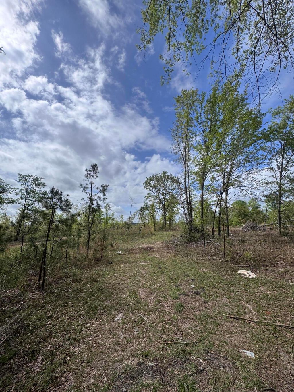 Photo of 1508 Hephzibah - Mcbean Road, Hephzibah, GA 30815 (MLS # 554270)