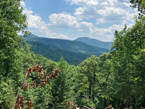 Vacant Land For Sale - LOT 14 View Ridge Trail<br/> Cherokee County, Murphy, NC 28906