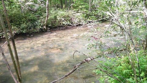 Vacant Land For Sale - 00 Mcdonald Road<br/> Murphy, NC 28906