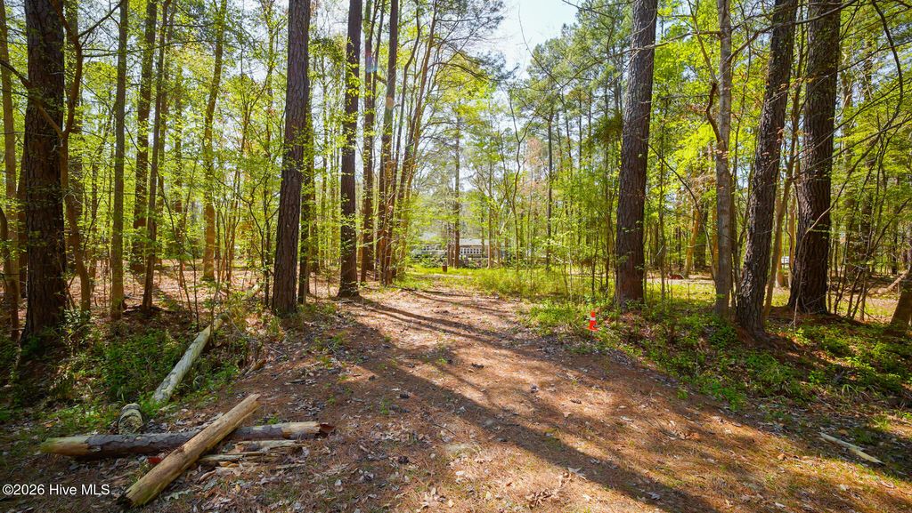 Photo of 35 Leeward Drive, Hertford, NC 27944 (MLS # 100563993)