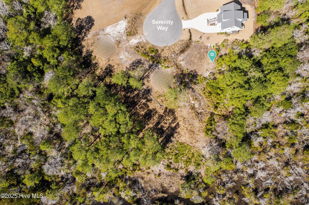 Photo of 711 Serenity Way, Sneads Ferry, NC 28460 (MLS # 100523785)