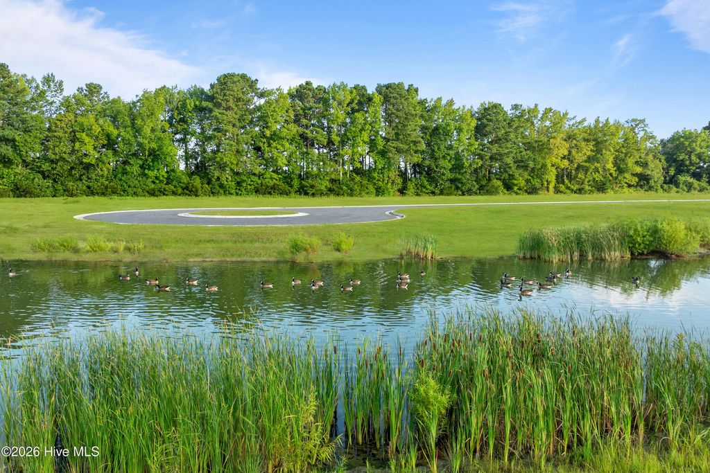 Photo of 130 Jasmine Court, South Mills, NC 27976 (MLS # 100565907)