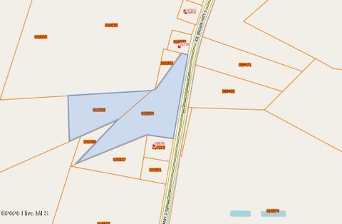 Vacant Land For Sale - 10900 Joe Brown Highway<br/> Columbus County, Tabor City, NC 28463