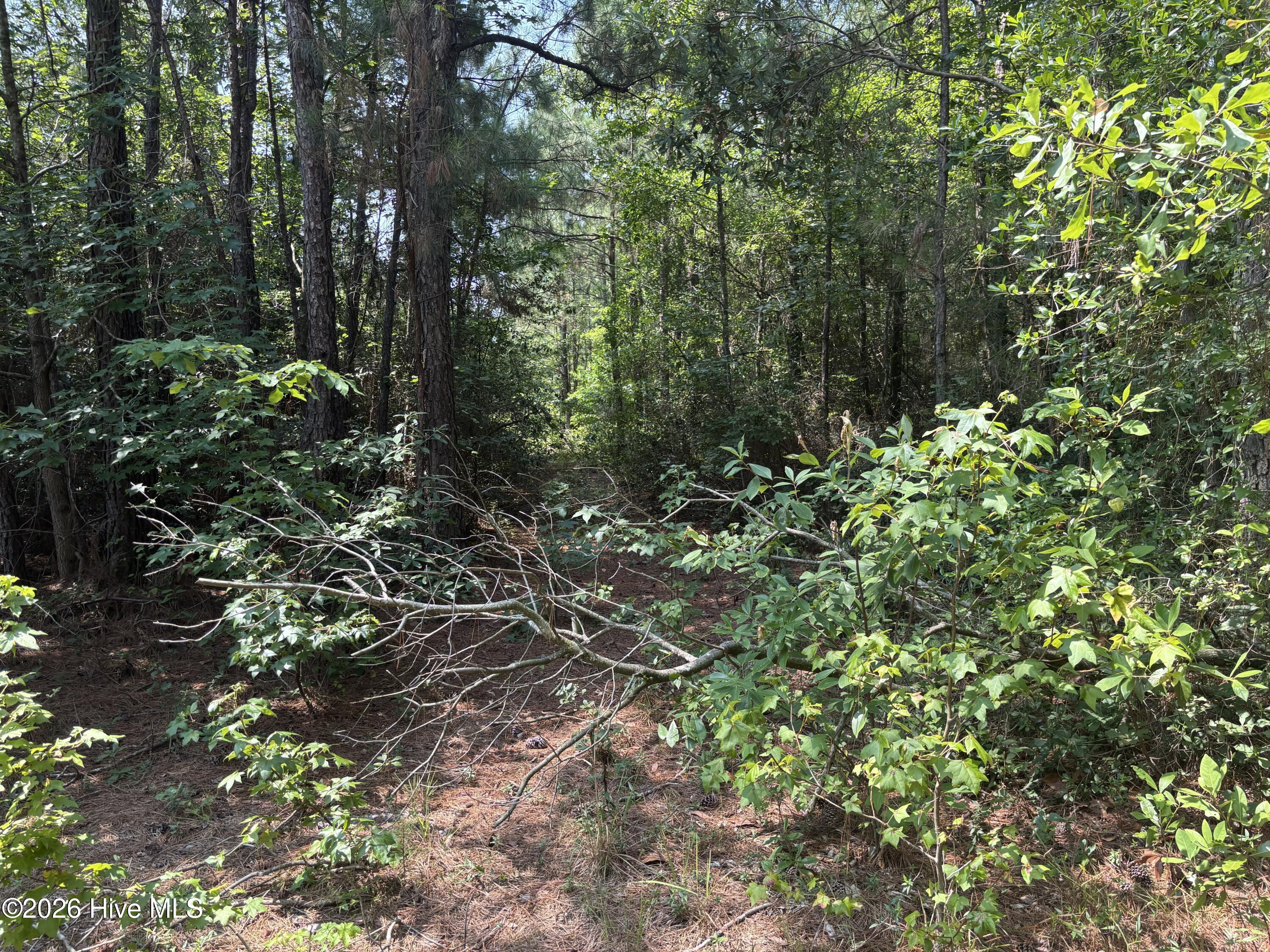 1721 Small Town Road