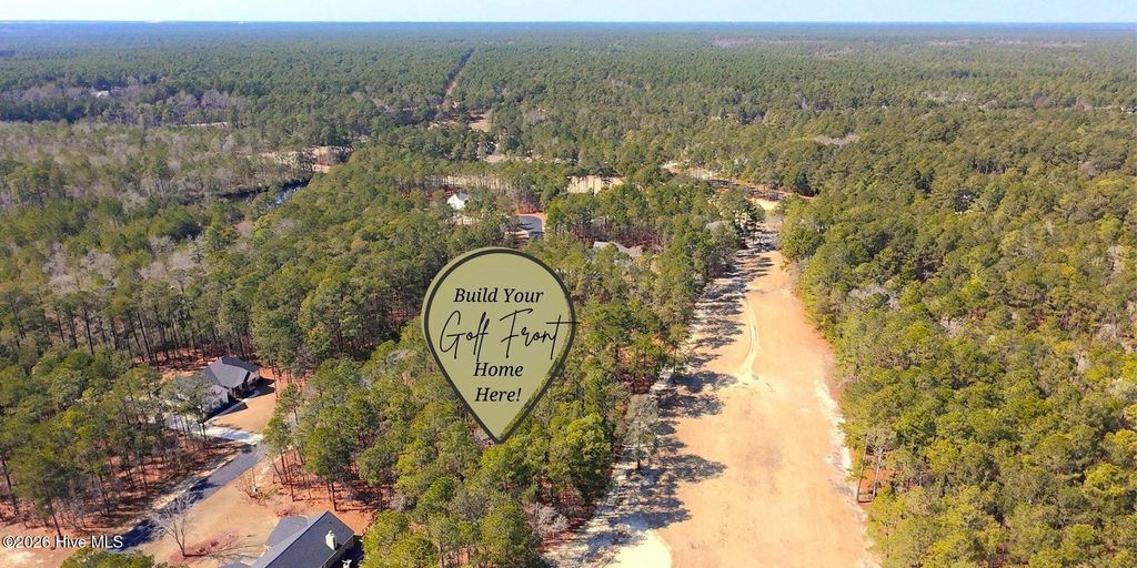 Photo of Tbd Wildlife Lane, Wagram, NC 28396 (MLS # 100557784)