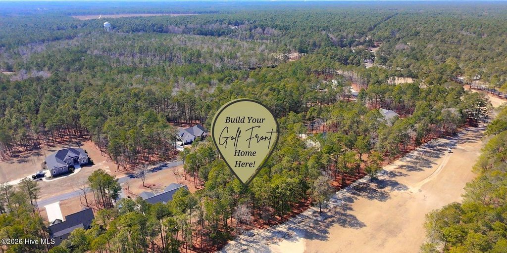 Photo of Tbd Wildlife Lane, Wagram, NC 28396 (MLS # 100557784)