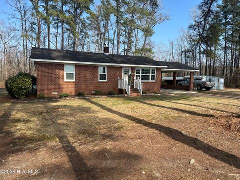 Homes For Sale - 2047 Jenkins Mill Road<br/> Northampton County, Conway, NC 27820